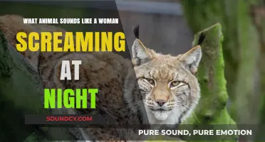 Unsettling Night Calls: The Animal Mimicking a Woman's Scream