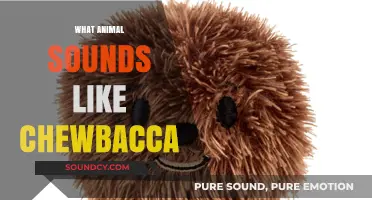 Unveiling the Chewbacca-Like Calls of Nature's Most Vocal Creatures