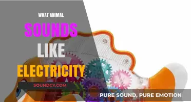 Electric Echoes: Unveiling the Animal That Mimics Electrical Buzzing