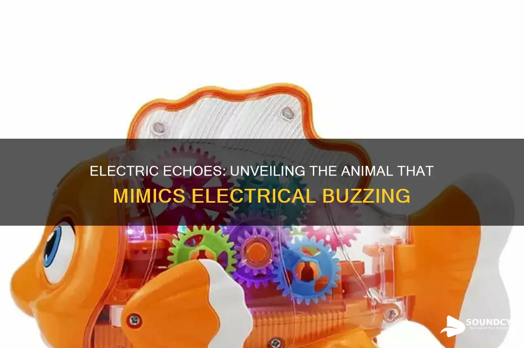 what animal sounds like electricity