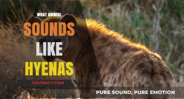 Unveiling the Mystery: Animals Whose Calls Resemble Hyenas' Laughter