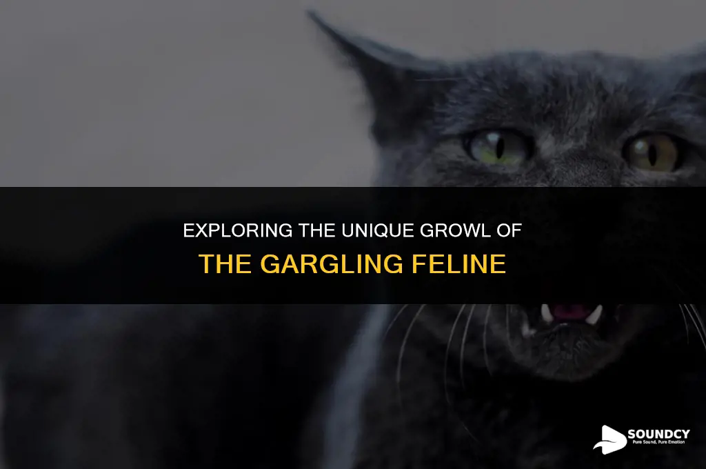 what animal sounds like its gargling when it growls