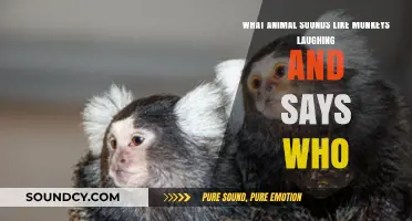 Exploring the Jungle: The Hilarious Call of the Who-Monkey