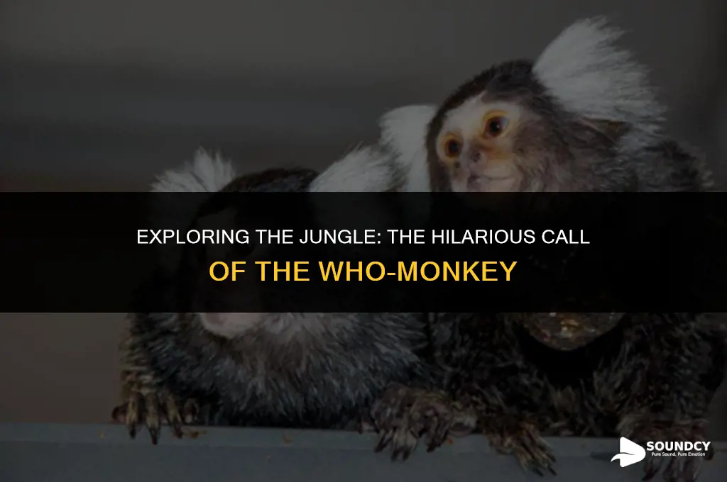 what animal sounds like monkeys laughing and says who