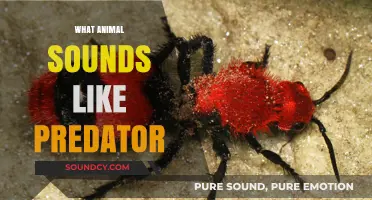 Unveiling the Wild: Animals Whose Calls Mimic a Predator's Presence