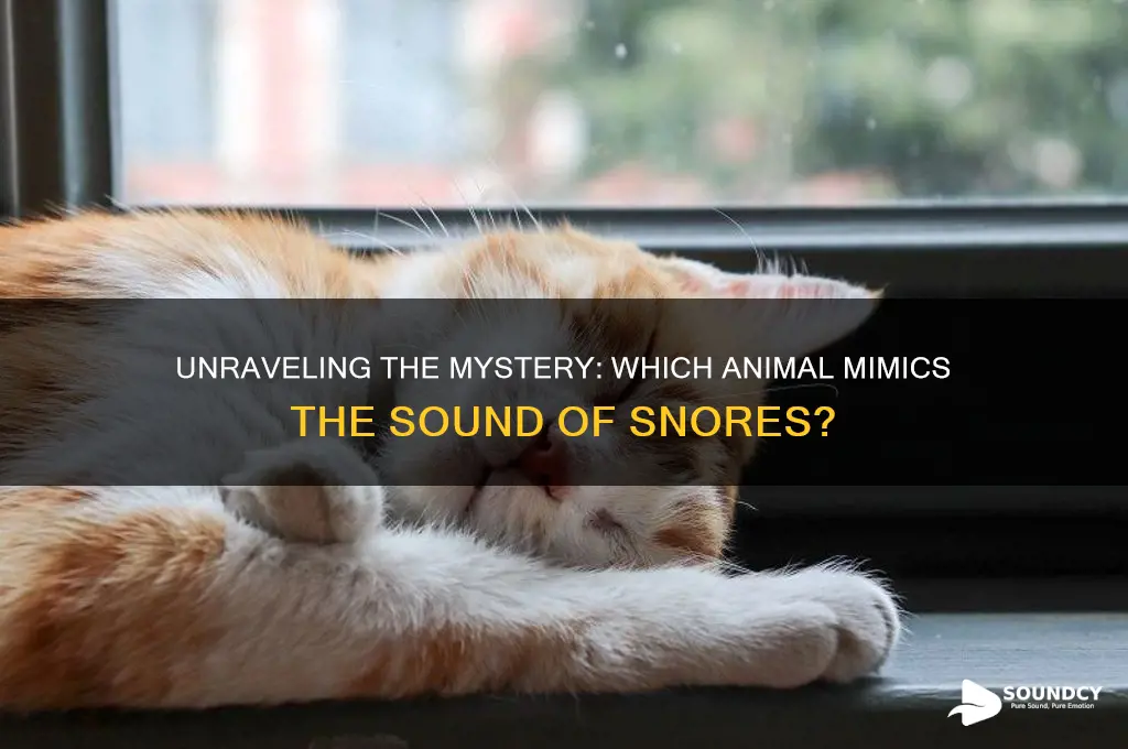 what animal sounds like sores