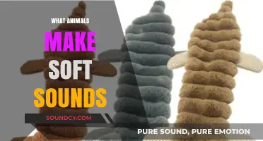 Gentle Whispers: Exploring Animals That Make Soft, Soothing Sounds
