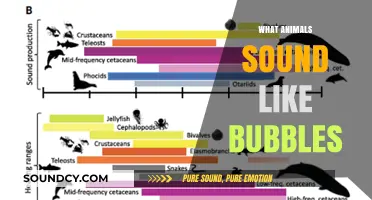 Animals That Sound Like Bubbles: Nature's Underwater-Inspired Noises