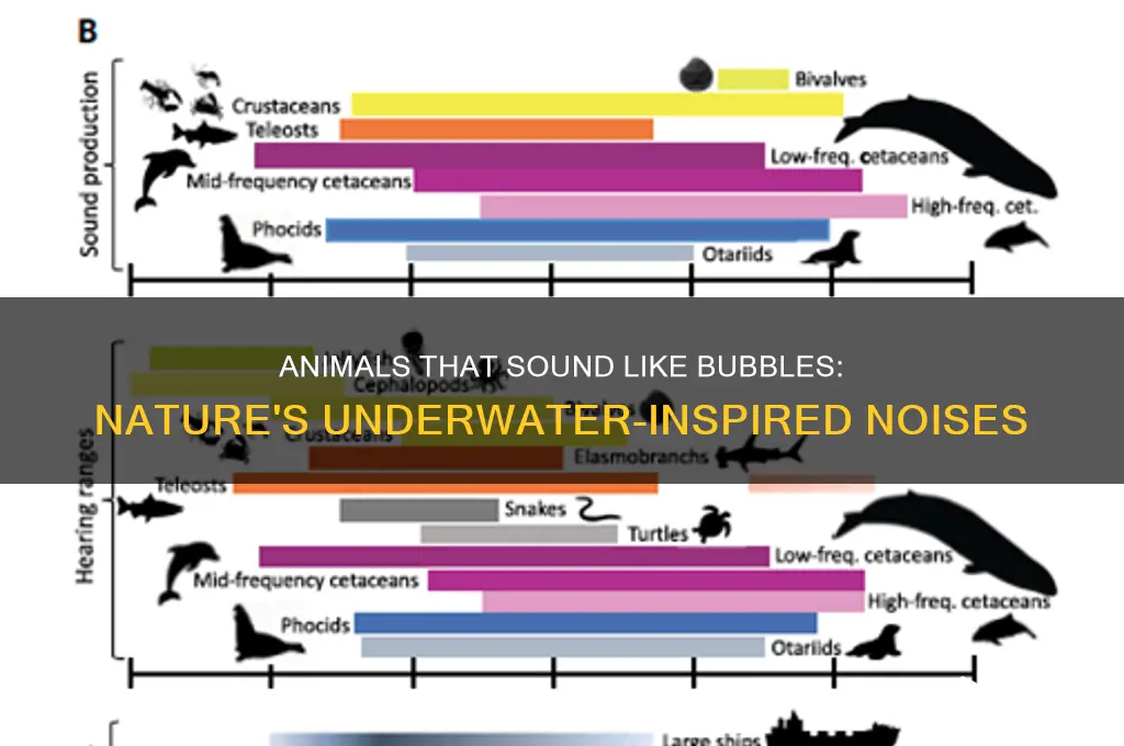 what animals sound like bubbles