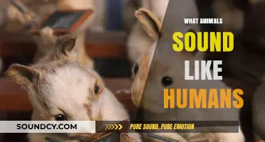 Animals That Mimic Human Speech: Surprising Vocal Abilities Explained