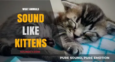 Purring Surprises: Animals That Sound Like Kittens You Never Expected
