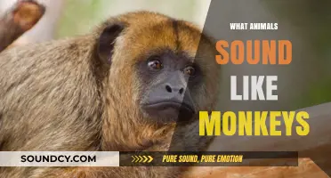 Animals That Sound Like Monkeys: Surprising Vocal Mimics in Nature