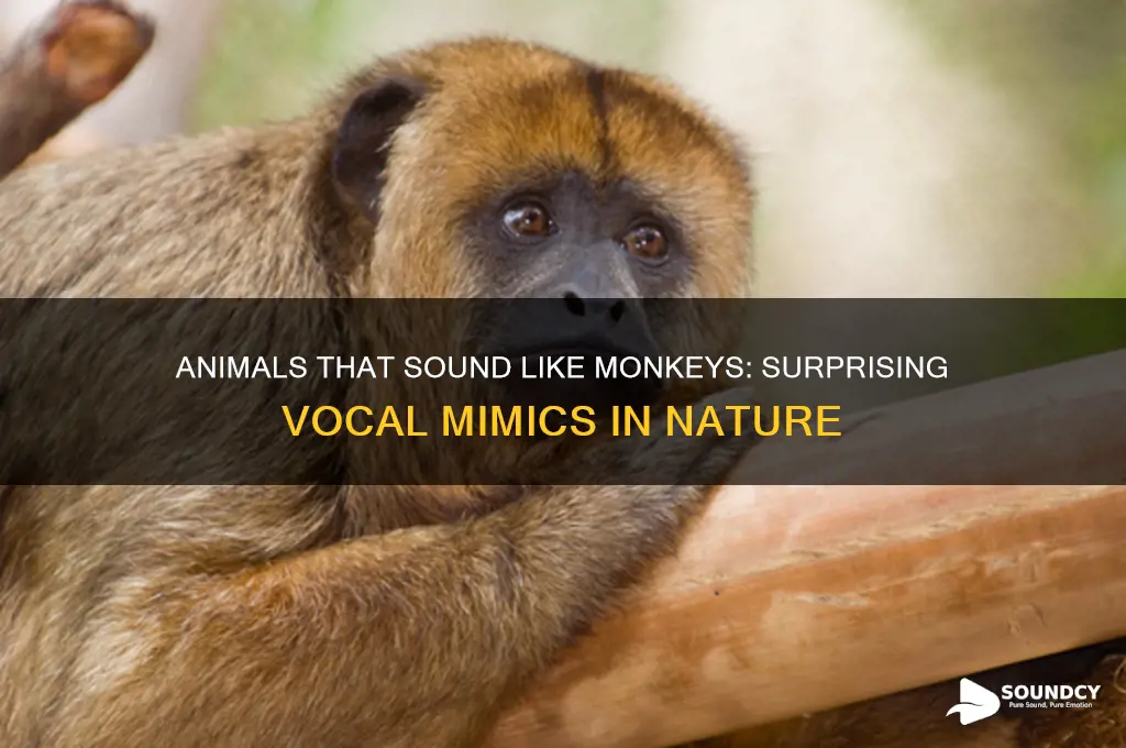 what animals sound like monkeys