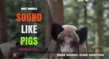 Oinks and Squeaks: Animals That Sound Surprisingly Like Pigs