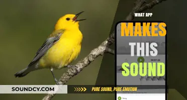 Identify That Sound: Discover the App Behind the Noise