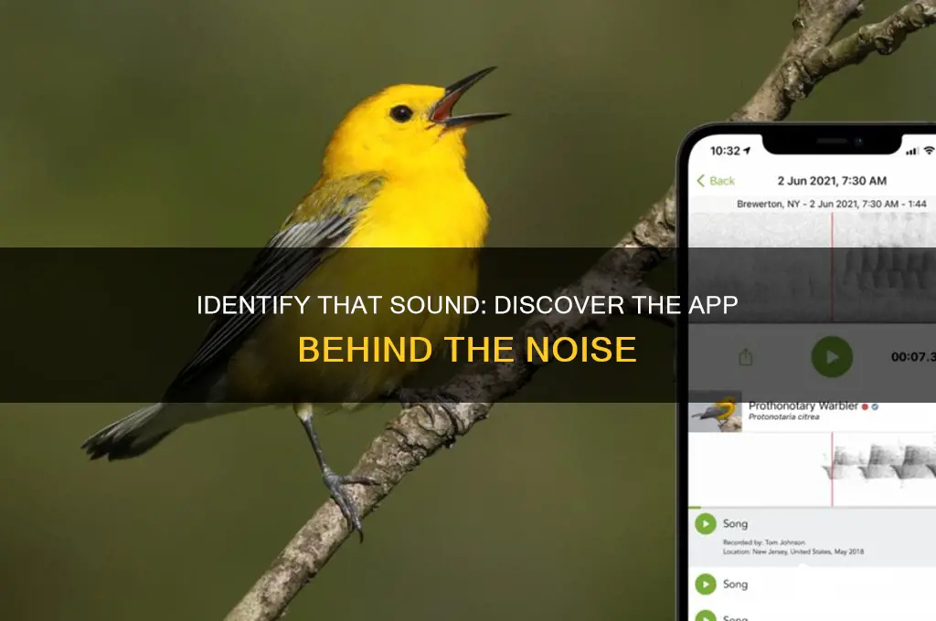 what app makes this sound