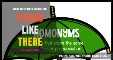 Exploring Homophones: Two Other Words That Sound Like 'There