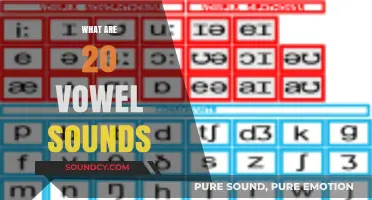 Exploring the Richness of English: 20 Unique Vowel Sounds Unveiled