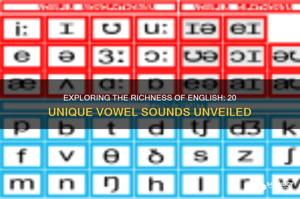 what are 20 vowel sounds