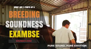 Understanding the Key Components of a Breeding Soundness Exam