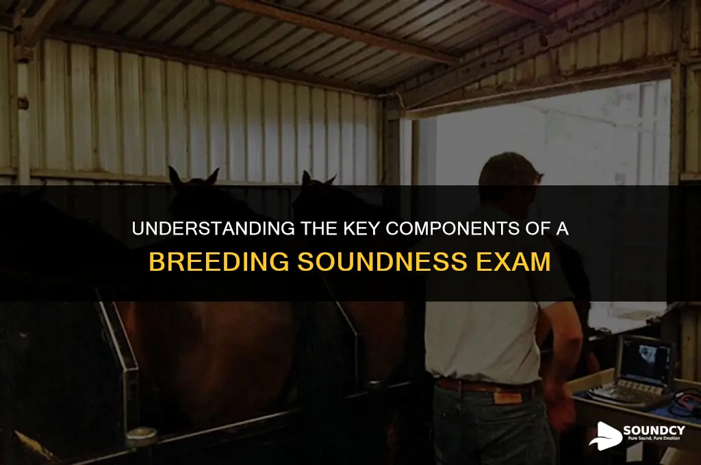 what are 3 parts of a breeding soundness exambse