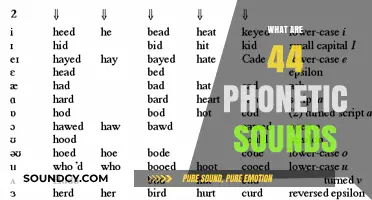 Mastering English Pronunciation: Exploring the 44 Phonetic Sounds