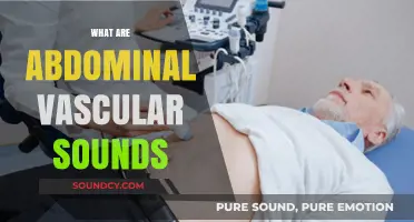 Understanding Abdominal Vascular Sounds: Causes, Significance, and Clinical Insights