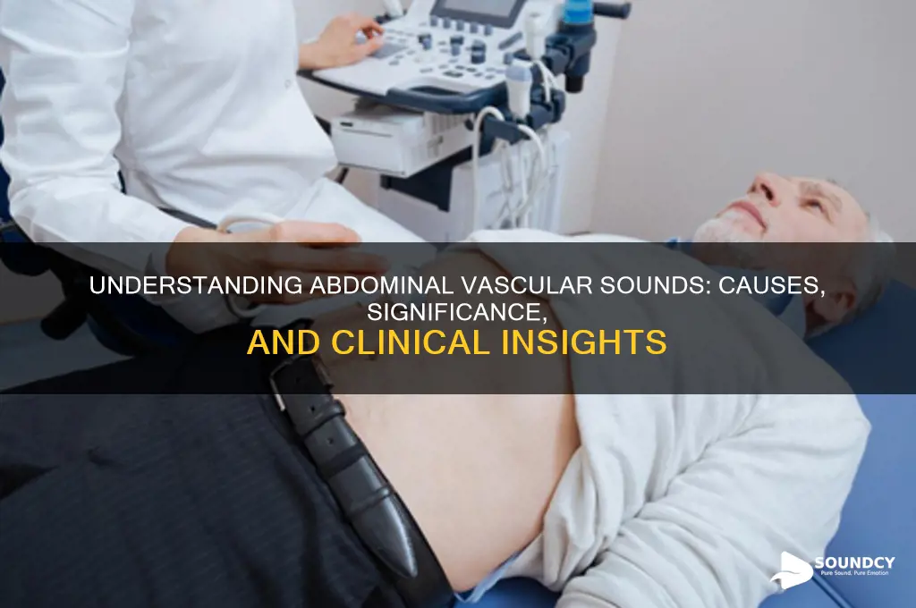 what are abdominal vascular sounds