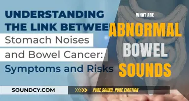 Understanding Abnormal Bowel Sounds: Causes, Symptoms, and When to Seek Help