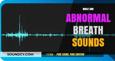Understanding Abnormal Breath Sounds: Causes, Types, and When to Seek Help