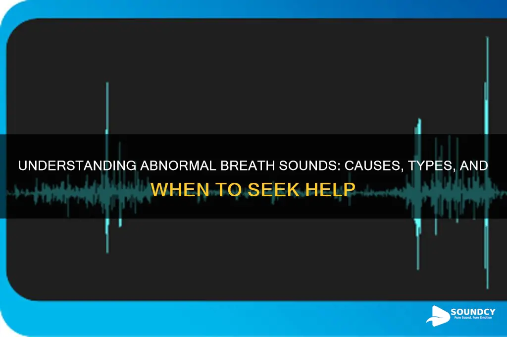 what are abnormal breath sounds