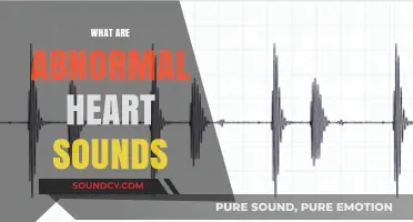 Understanding Abnormal Heart Sounds: Causes, Symptoms, and Diagnosis Explained