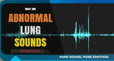 Understanding Abnormal Lung Sounds: Causes, Symptoms, and Diagnosis Explained