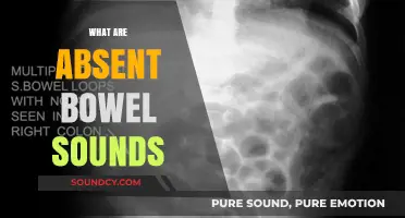 Understanding Absent Bowel Sounds: Causes, Symptoms, and Medical Implications
