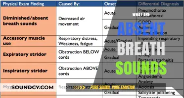 Understanding Absent Breath Sounds: Causes, Diagnosis, and Clinical Significance