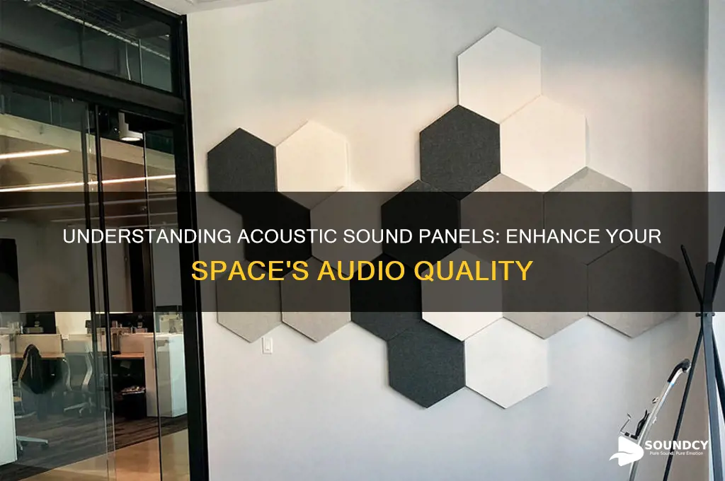 what are acoustic sound panels