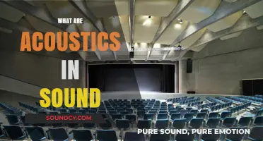 Understanding Acoustics: The Science Behind Sound and Its Behavior