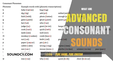 Mastering Advanced Consonant Sounds: A Comprehensive Guide to Phonetics