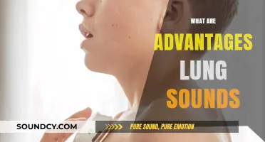 Exploring the Benefits of Lung Sounds in Medical Diagnosis