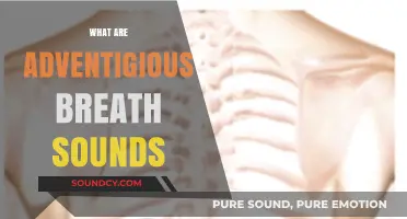 Understanding Adventitious Breath Sounds: Causes, Types, and Clinical Significance
