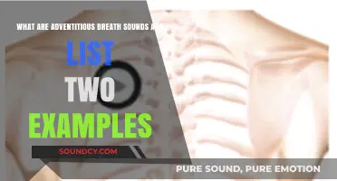 Exploring Adventitious Breath Sounds: Two Key Examples to Know