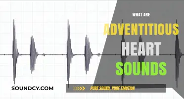 Understanding Adventitious Heart Sounds: Causes, Types, and Clinical Significance