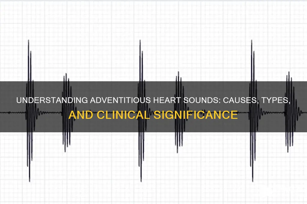 what are adventitious heart sounds