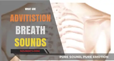 Understanding Adventitious Breath Sounds: Causes, Types, and Clinical Significance