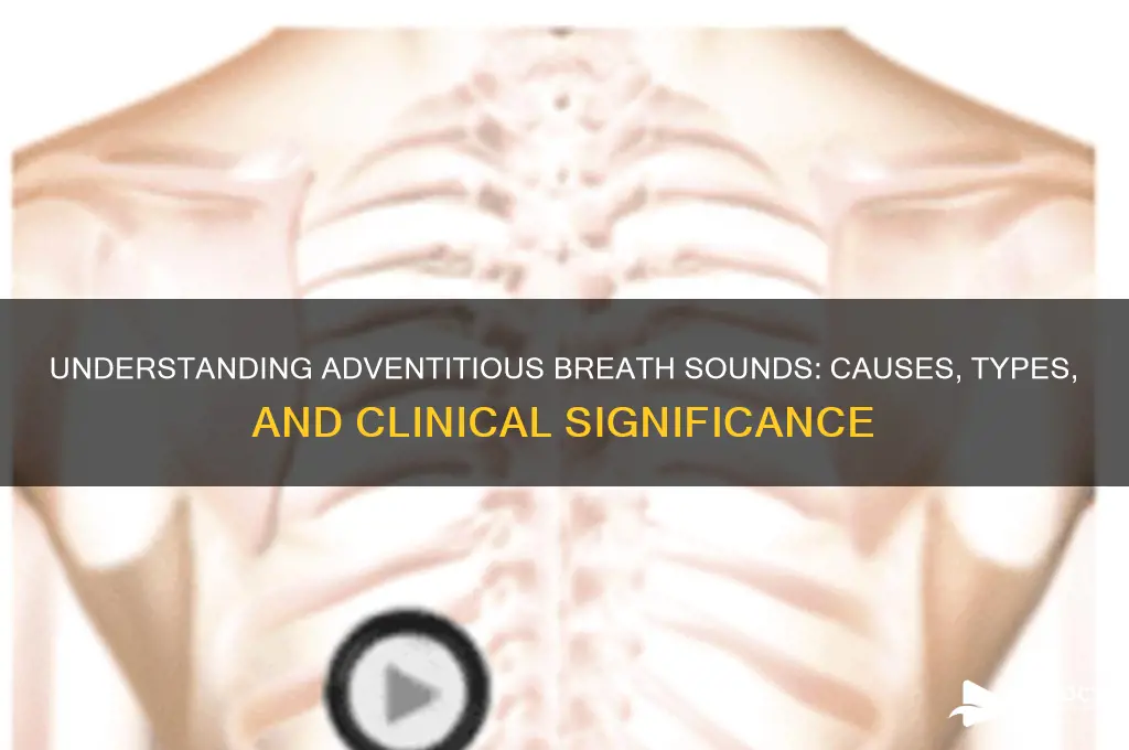 what are advitistion breath sounds