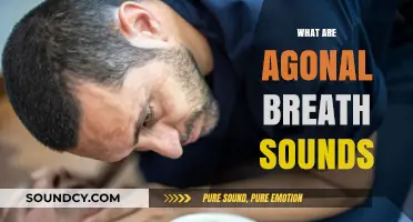 Understanding Agonal Breath Sounds: Causes, Symptoms, and Emergency Response