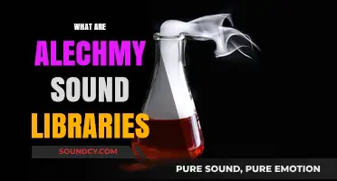 Exploring Alechmy Sound Libraries: A Comprehensive Guide to Audio Innovation