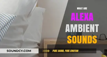 Alexa Ambient Sounds: Relaxing Background Noises for Better Focus & Sleep