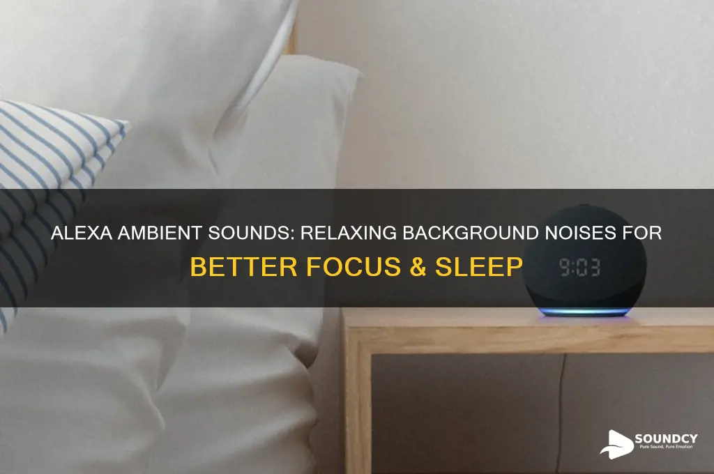 what are alexa ambient sounds
