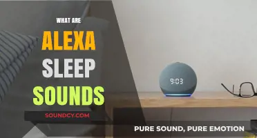 Discover Alexa Sleep Sounds: Enhance Your Rest with Soothing Audio Options